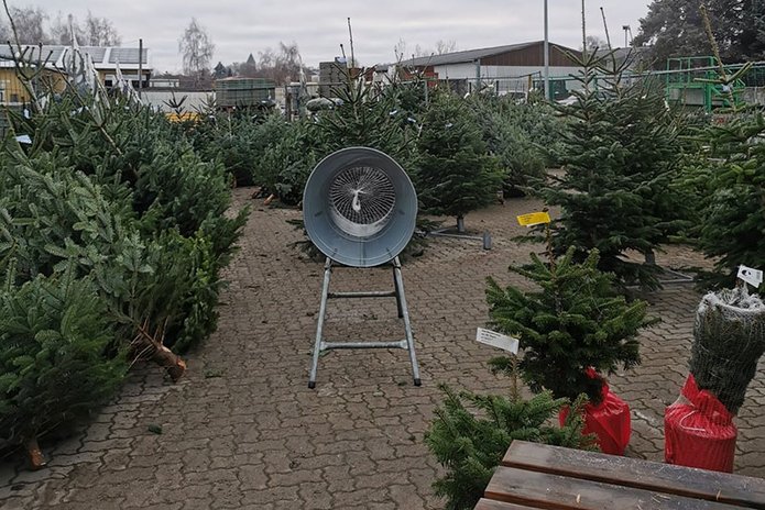 Weihnachtsbaum Verkauf - frisch geschlagene Bäume für ein gelungenes Fest.