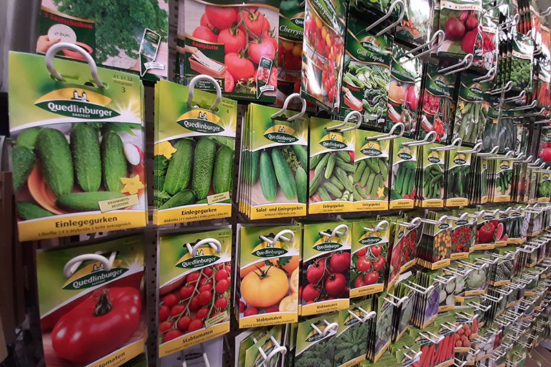Eine große Auswahl an Samen für Gemüsepflanzen wie Gurken, Tomaten, Erbsen, Radieschen oder verschiedene Kräuter erhalten Sie in Ihrem Raiffeisen Markt.